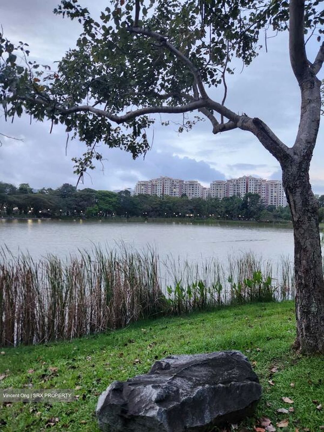 The Rivervale (D19), Condominium #495960371